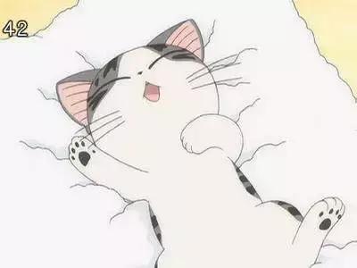 感觉自己养了一只猫是假猫 (你会觉得自己养了一只假猫吗)