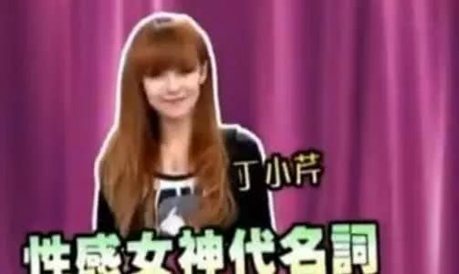 卖假货被抓女明星,丁小芹卖假货事件