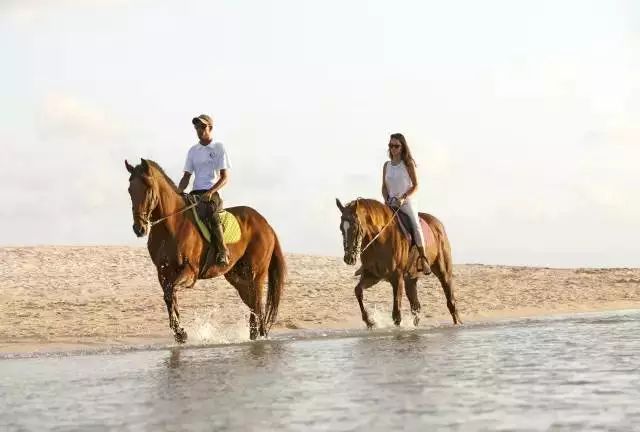 绝色天堂毛里求斯，你想要的干货攻略全在这里了！