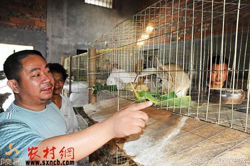 真正能让老百姓致富的项目,最适合个人创业的点子