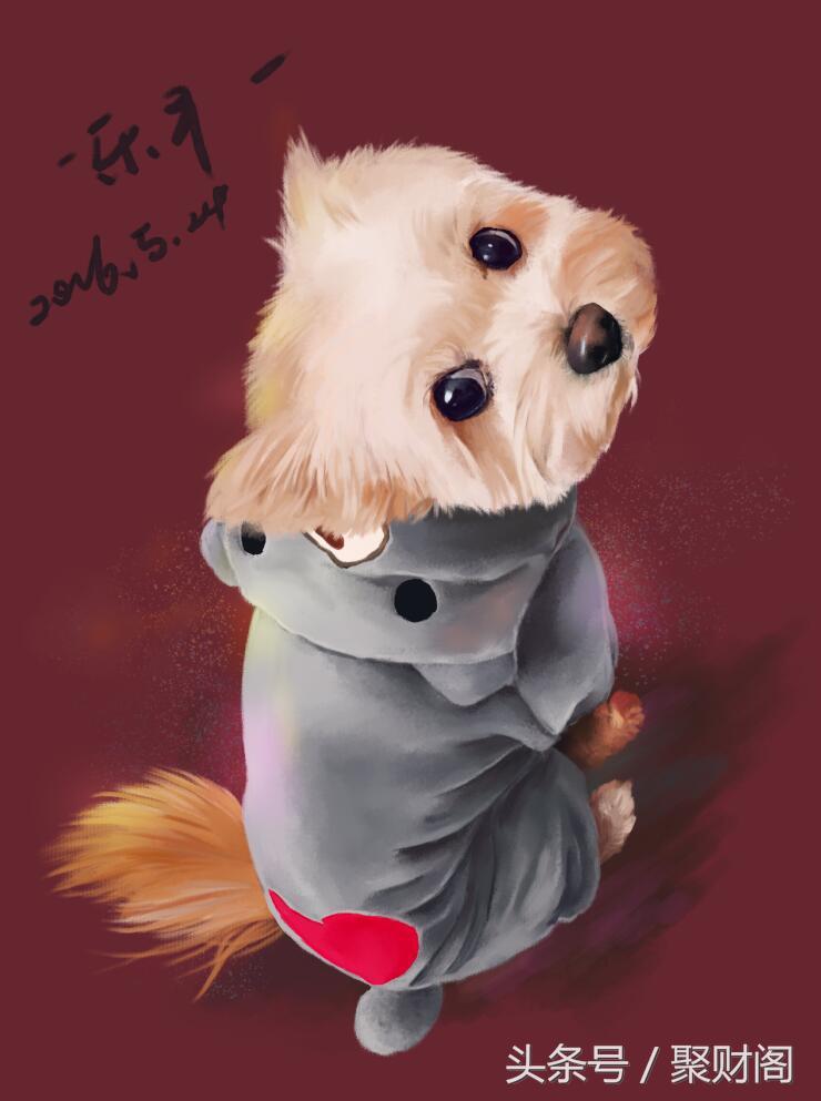 2018属狗人每月运势,属狗的人2018每月运势