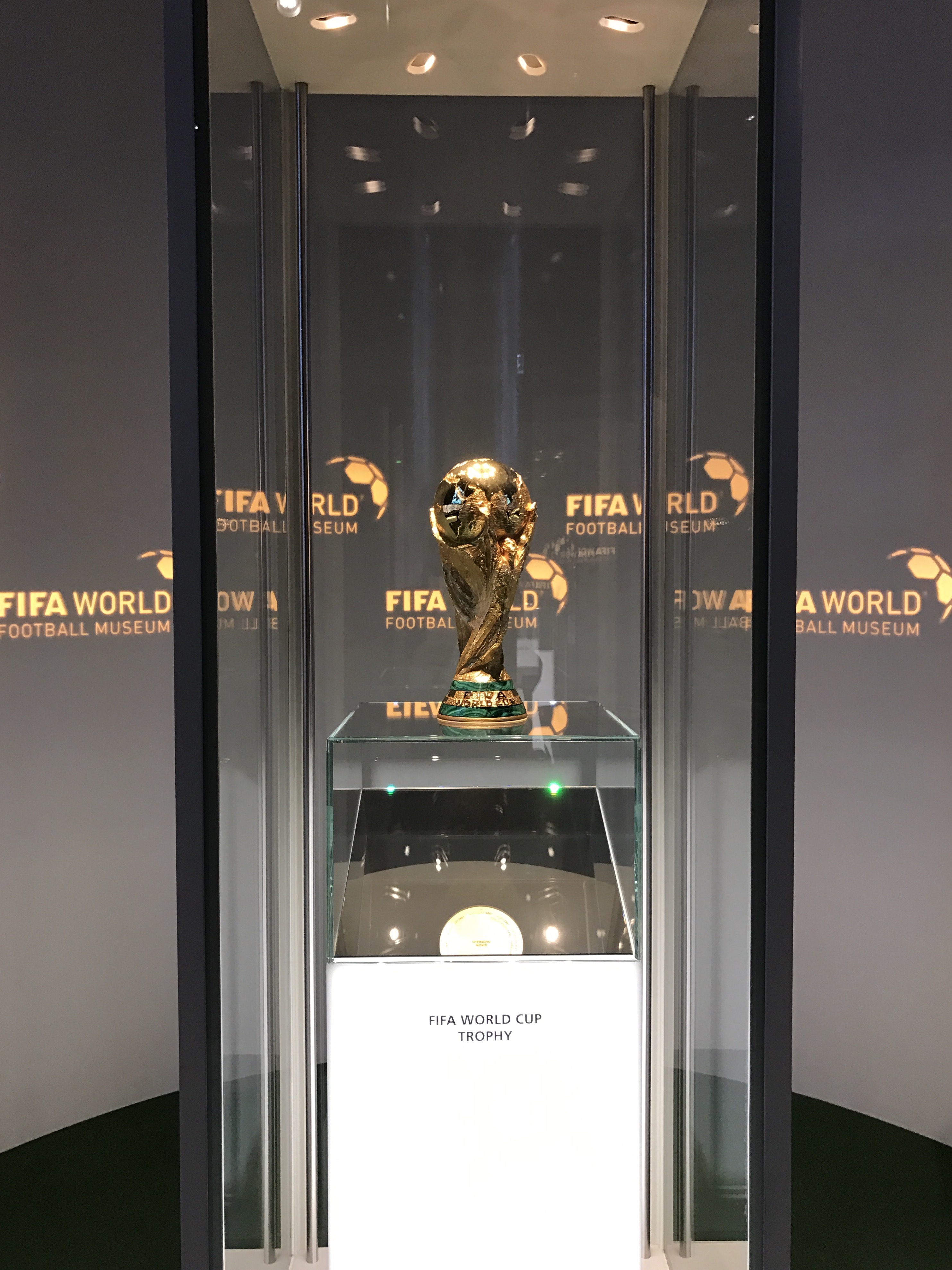 fifa足球世界世界杯同行者攻略,fifa足球世界欧洲杯巡礼