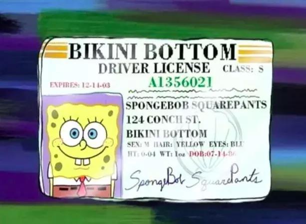 海绵宝宝说以前的你笑得好开心,海绵宝宝说你不开心就到此为止吧