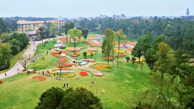 石象湖踏青,蒲江石象湖门票价格多少