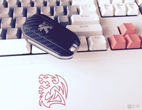 新标致308自豪版故障显示图解,标致3081.6l发动机