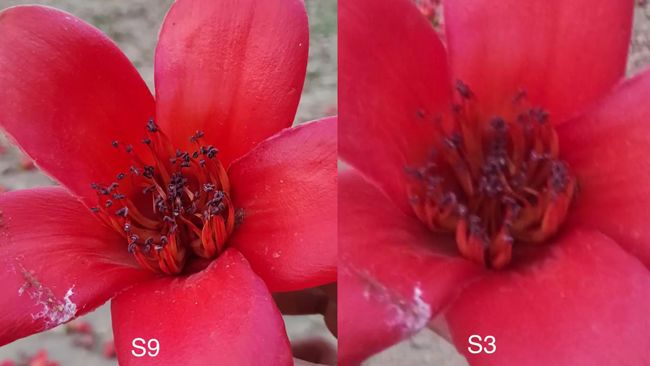 美得千篇一律不如丑的标新立异,曾经漂亮的手机