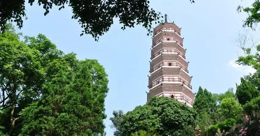 广东被中央看好的城市,广东省国务院表扬的地方