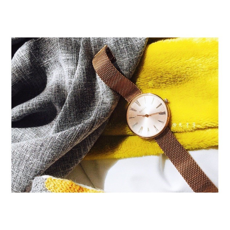 英国手表女士小众奢侈,英国小众品牌情侣手表adex