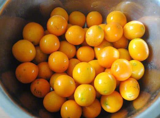 金桔能治疗所有咳嗽么,金桔治咳嗽用整个的还是切开好