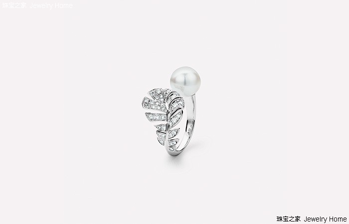 璧湰鐝嶇彔椤归摼鏁欑▼,璧湰姘旇川椤归摼