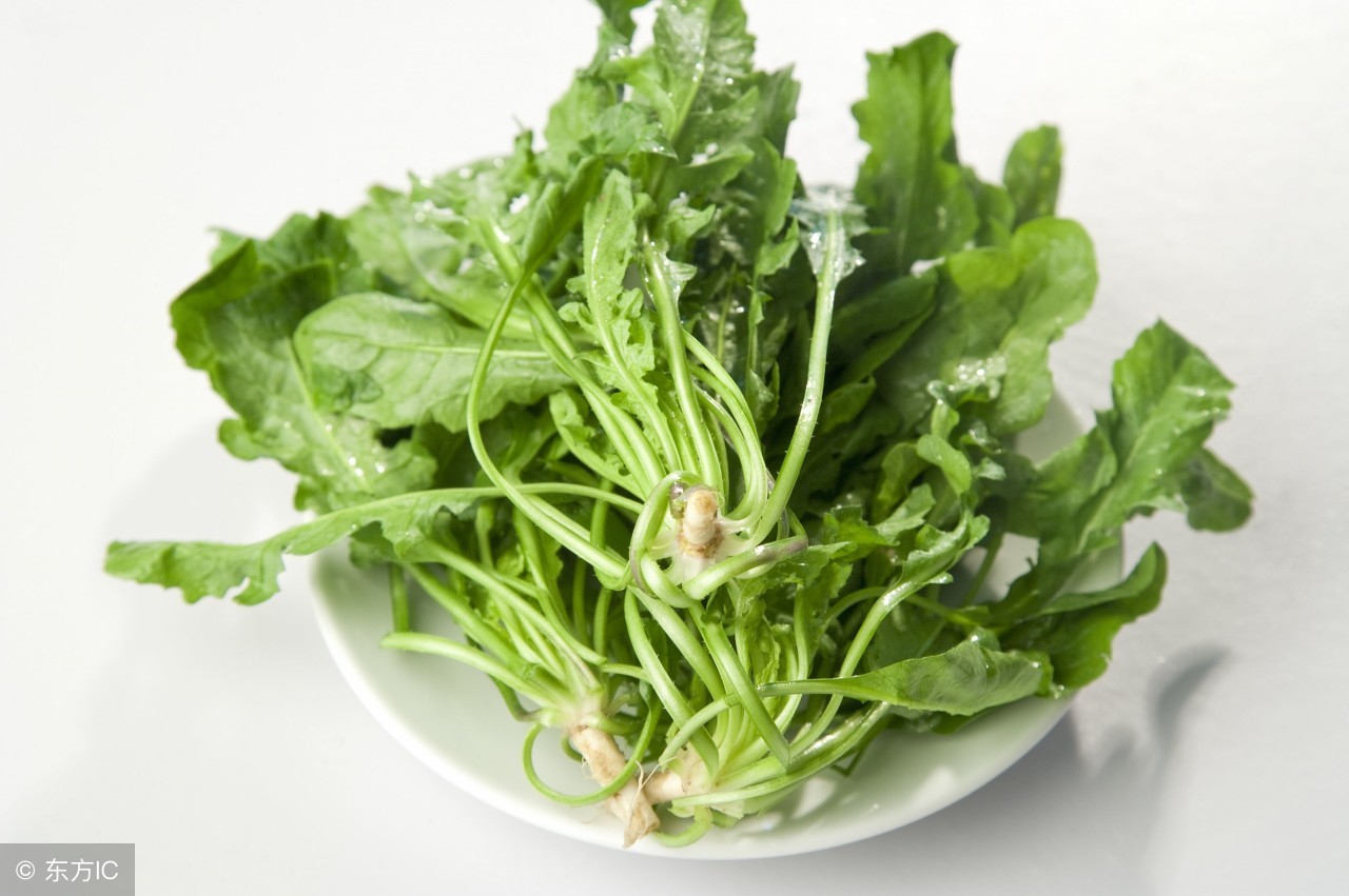 治糖尿病的野菜苦麦菜图片,哪种野菜对糖尿病人最好