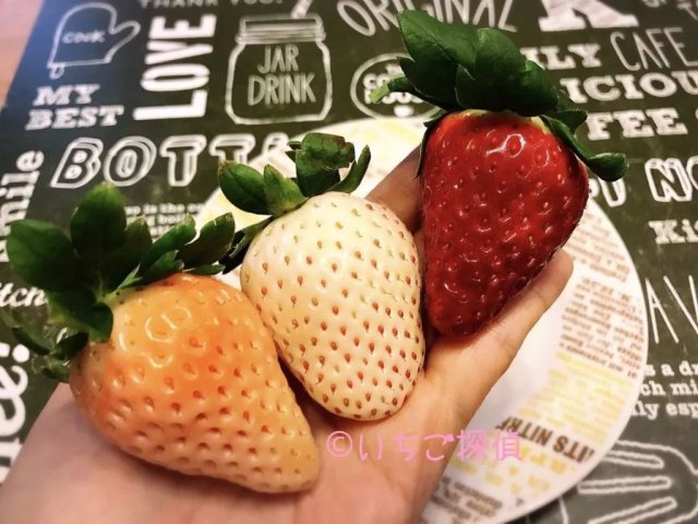 陈冠希吃的苹果,陈冠希吃的白草莓什么品种