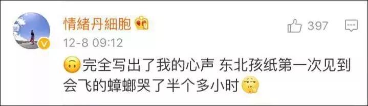 南方的“小强”,能把东北爷们活活吓哭!教你4招拿下它们