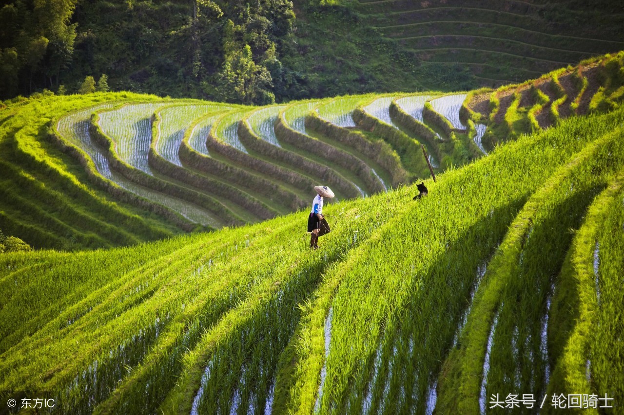办公室风水的布局知识,2018办公室风水知识大全