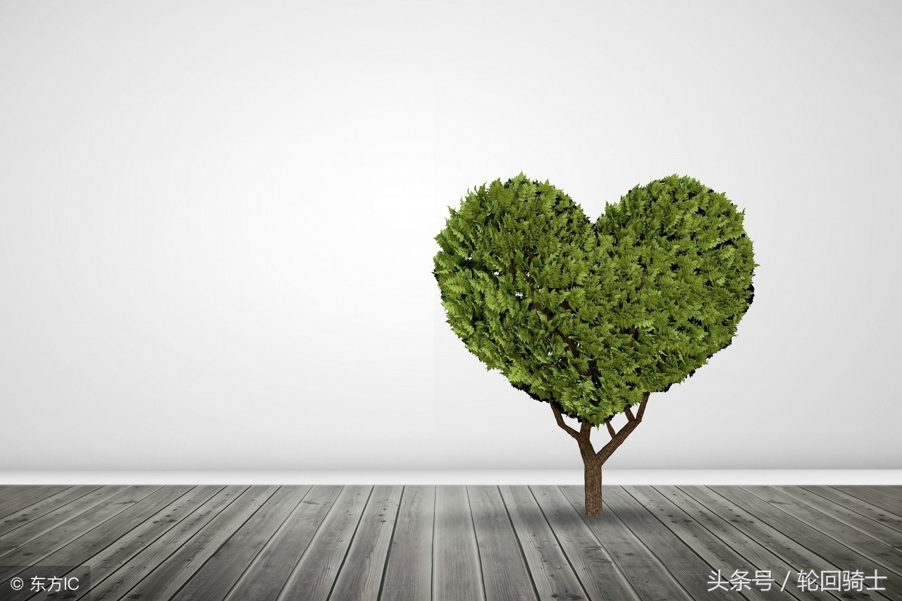 办公室风水的布局知识,2018办公室风水知识大全