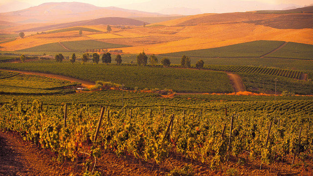 意大利西西里岛最漂亮的岛,意大利西西里的美丽传说