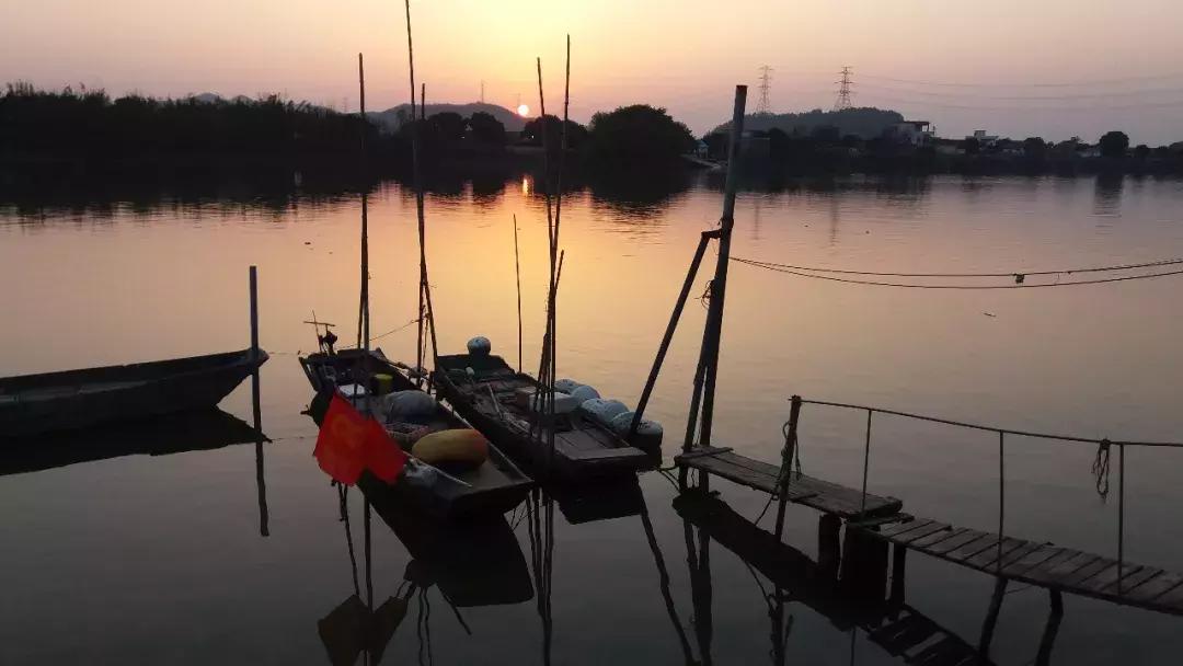 黄沙蚬新会,江门新会黄沙蚬季节