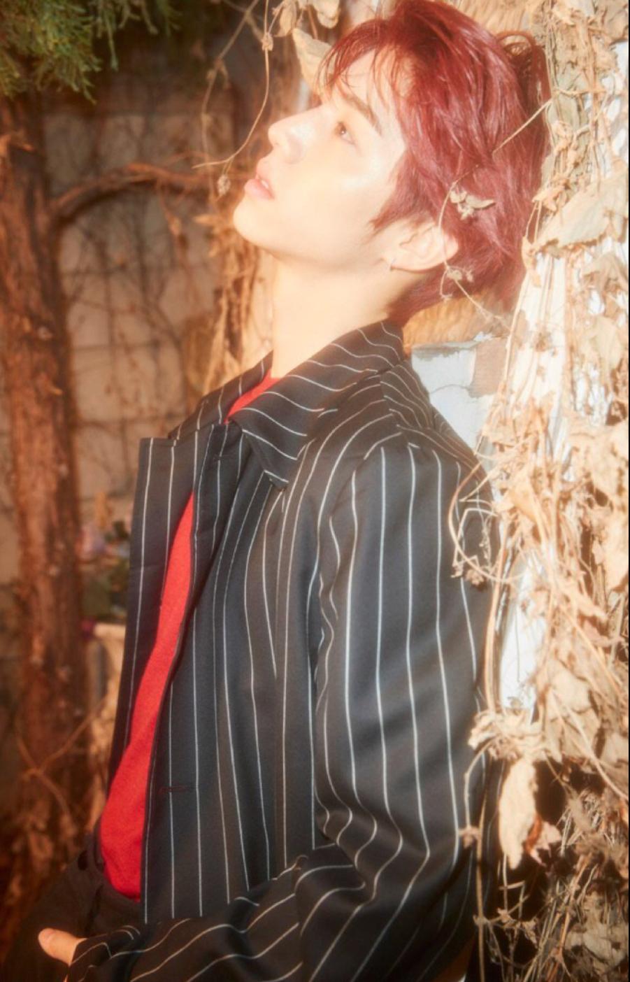 got7mark段宜恩回美国,got7mark段宜恩翻跟头