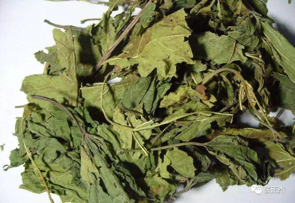 常见五种咳嗽的治疗,一文看懂咳嗽的分类治疗