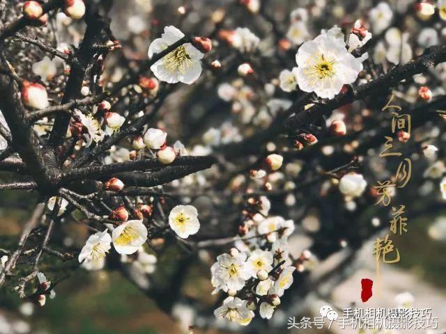 动动手指就能做出美丽的作品,动动手指头就能找到照片的乐趣