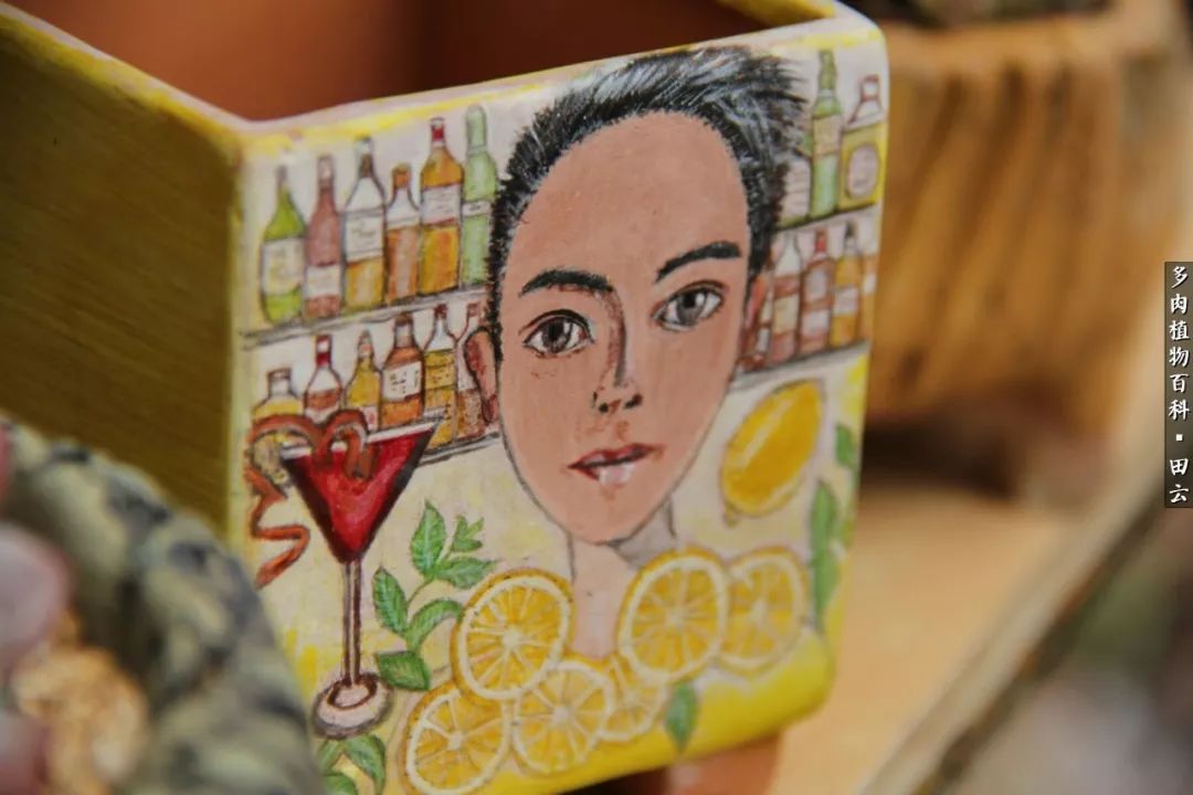 养多肉的精致生活,养多肉的乐趣在于没事瞎折腾