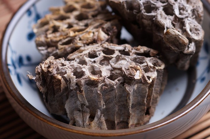 李祥云教授巧用虫类药治疗妇科病