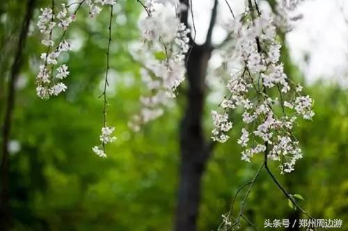 郑州人真正的后花园,郑州人少环境好的地方