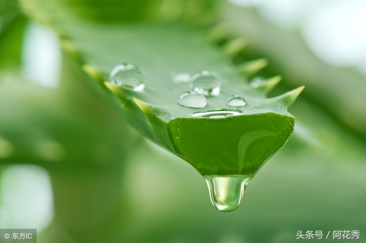 淘宝平价又好用的护肤品有哪些,淘宝平价护肤品排行榜10强