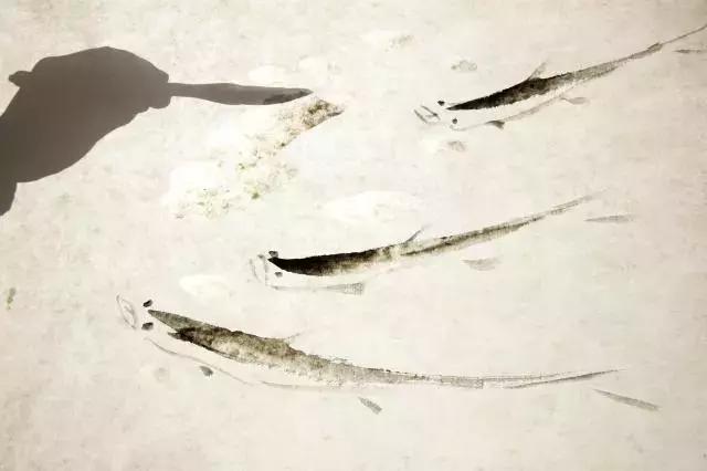 笔墨纸砚文房四宝的文化内涵,文房四宝笔墨纸砚的由来视频