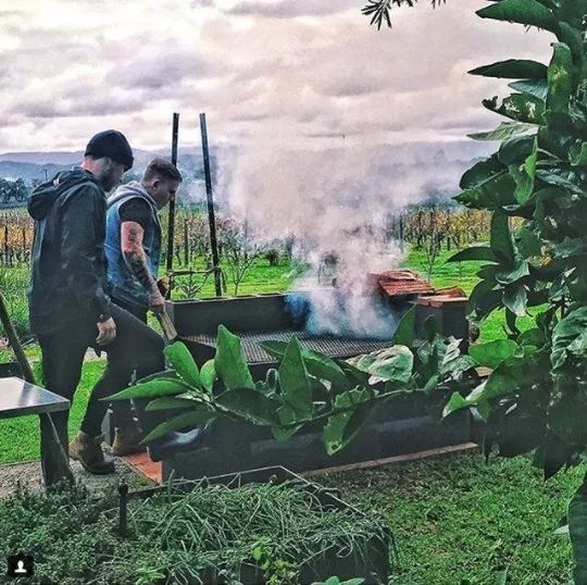 跟着澳洲大厨一起去“打野食”