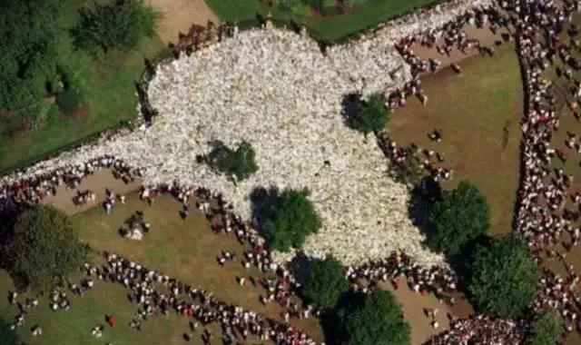 站着的霍金的照片,希拉里和霍金