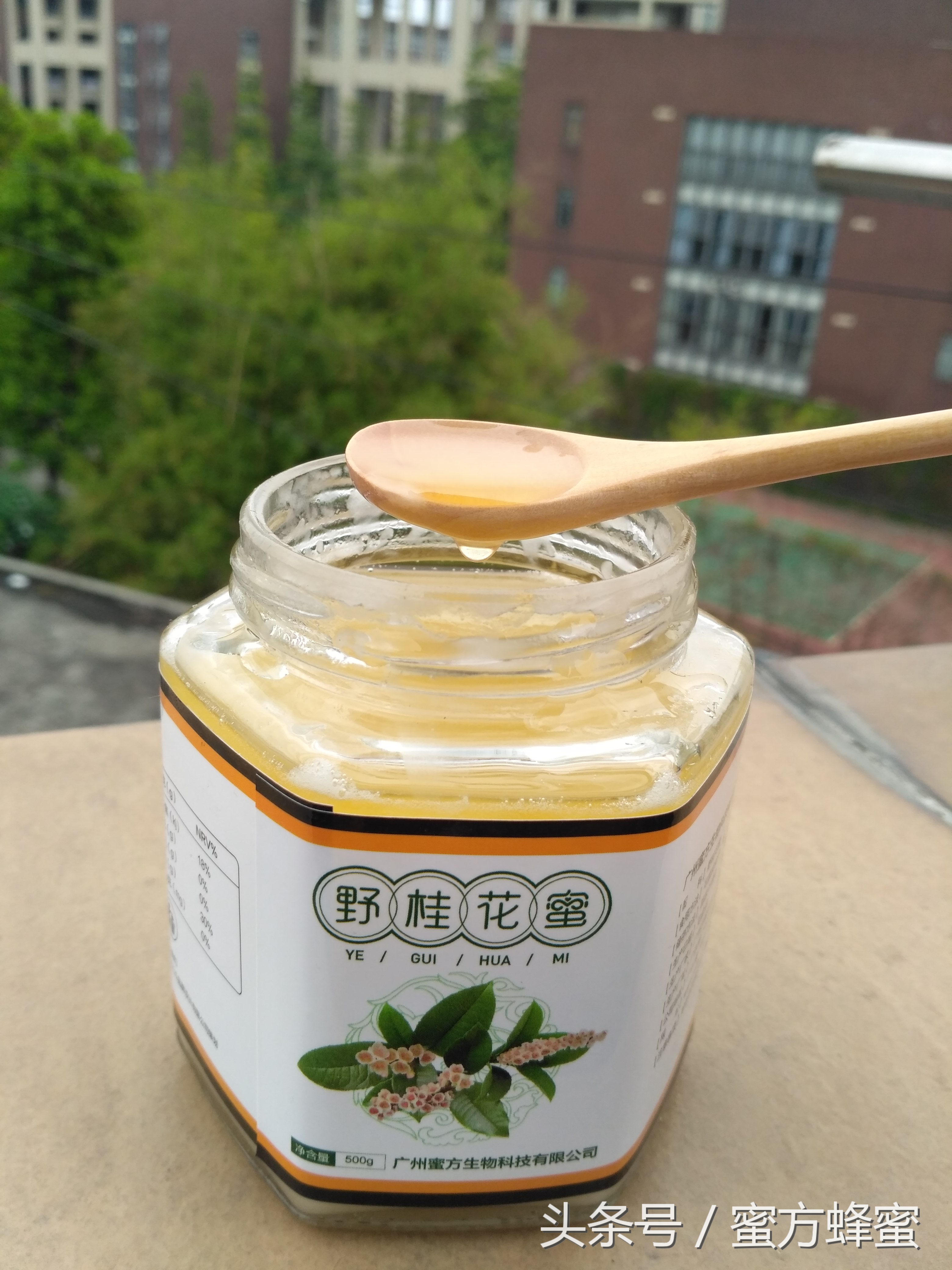 真假蜂蜜原蜜的鉴别方法,怎么辨别浓缩蜜和蜂蜜