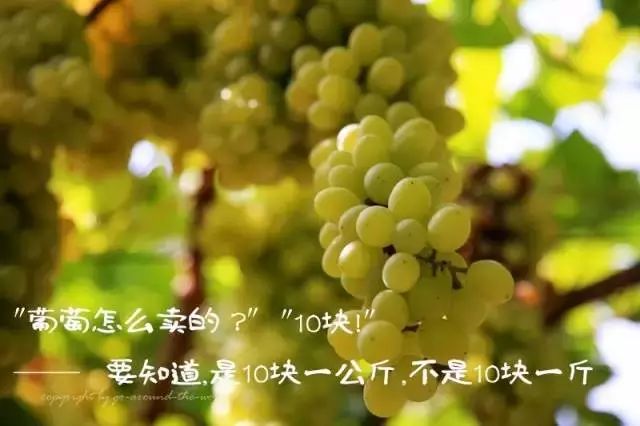 疆内和疆外的区别,疆新