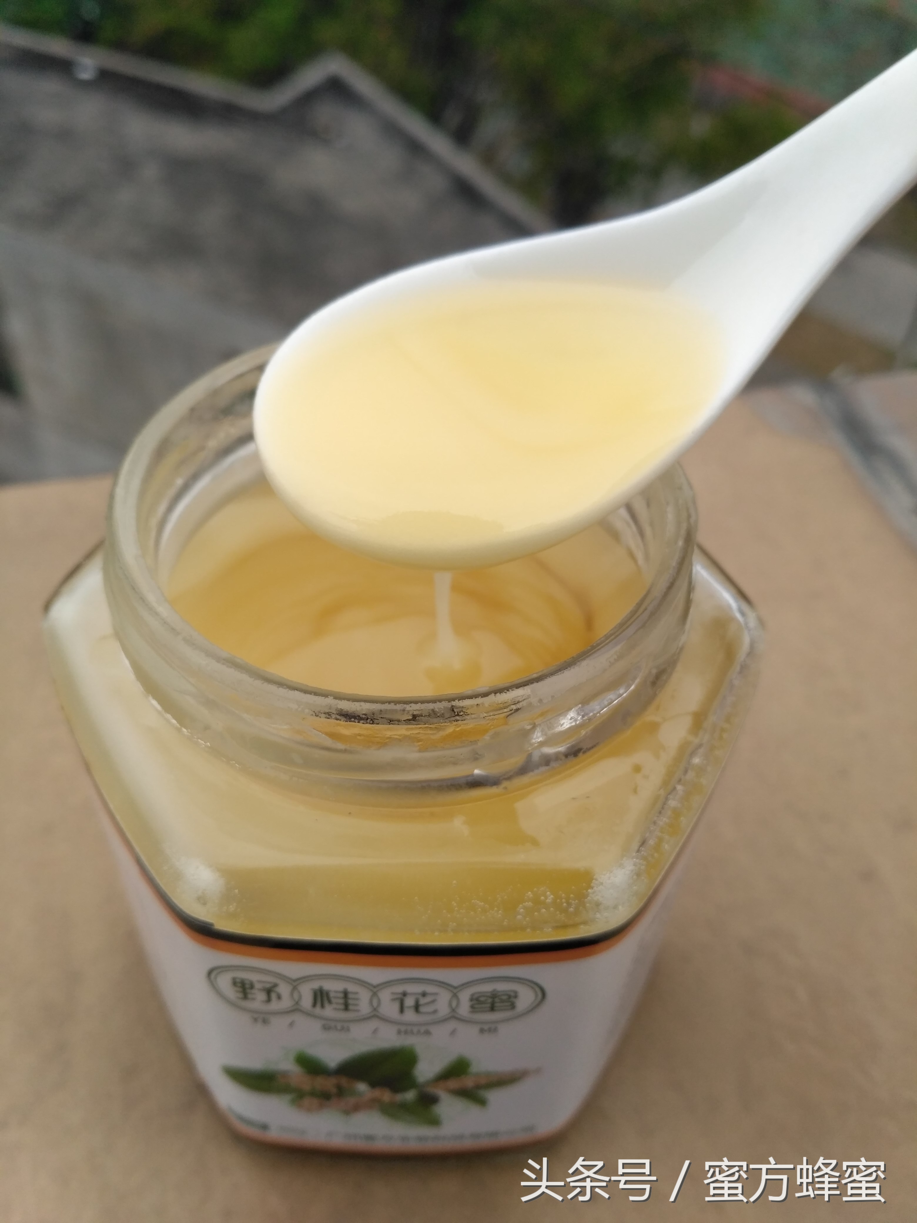 真假蜂蜜原蜜的鉴别方法,怎么辨别浓缩蜜和蜂蜜