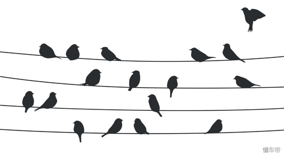 小鸟拉屎在车上有什么说法,最近总是有鸟拉屎在身上