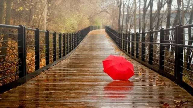 淋雨的感觉真的很好,淋雨的感觉幽默说说