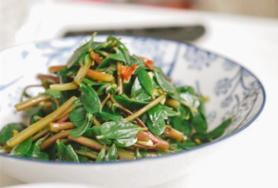 糖尿病吃什么野菜好,春季野菜不要随便挖这些野菜有毒