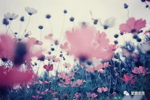 当初为了名利离婚现在又想复婚,当初为了离婚签了不公平协议