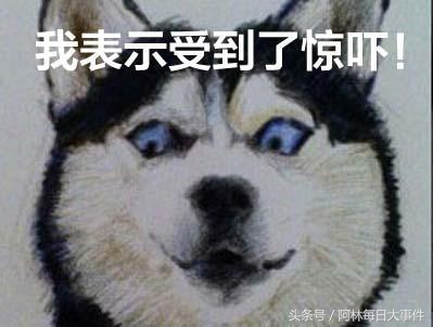 耐克侵权案例最新,乔丹鞋和耐克打官司