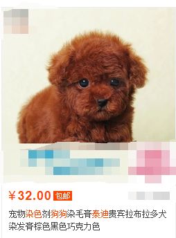 狗贩子用高锰酸钾和廉价染发剂给小奶狗染色，只为卖出高价。