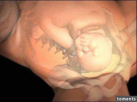 令人震撼!7张图看懂分娩过程,请珍惜那个为你生孩子的女人