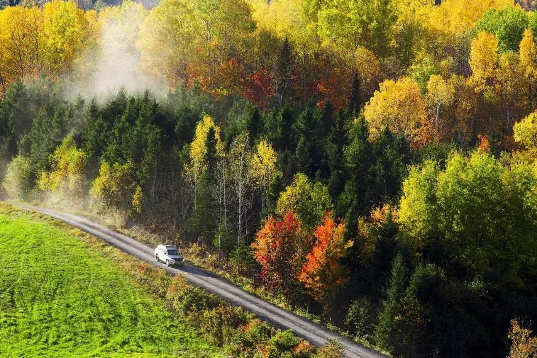 护照上有拒签记录换新护照,被拒签之后换新护照就行了