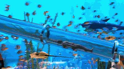 拉仇恨,上海又添世界级别新地标