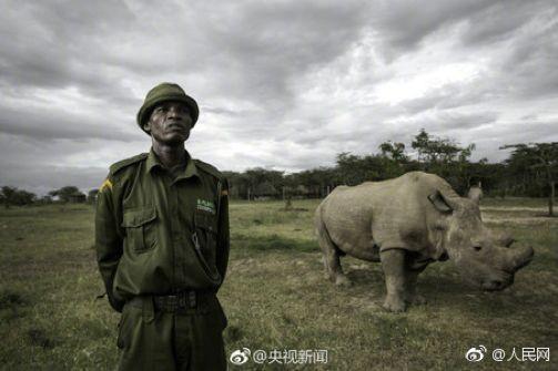 韩国查出十种化妆品重金属超标,韩国查出有毒化妆品