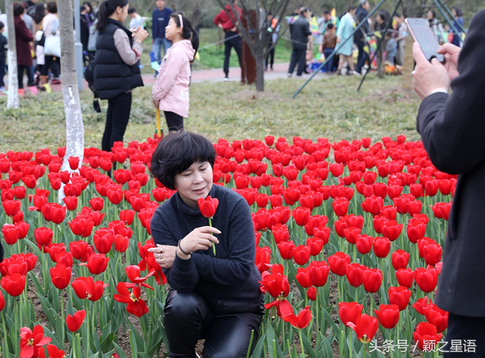 宁波院士公园最新消息,宁波院士公园现在花还开着吗