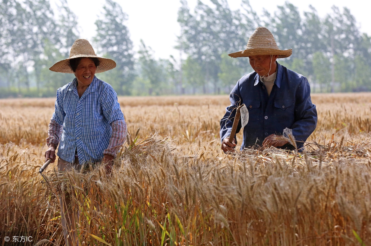 农村创业项目成功的两个必备条件,农民缺钱怎么办