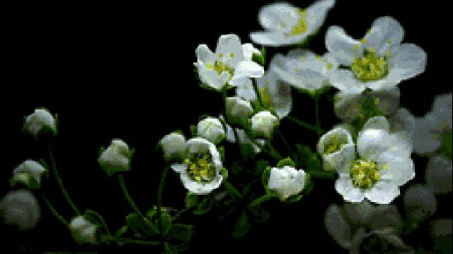 春分节气的民间习俗及养生技巧,春分节气的饮食