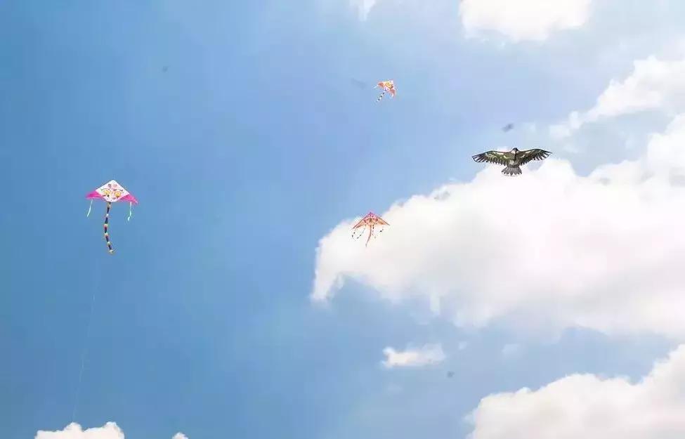 春分节气的民间习俗及养生技巧,春分节气的饮食