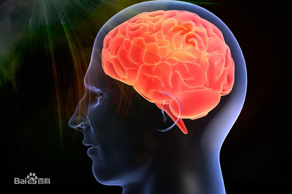 聪明指的是智商还是情商,智商和情商的区别是什么意思