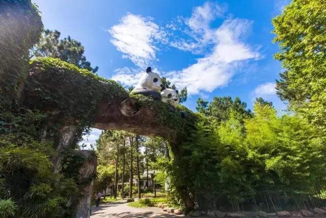 给你一个爱上电影的理由,给你一个爱上丽江的理由